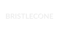 bristlecone
